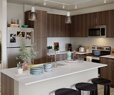Fully Furnished Apartments - Image 02
